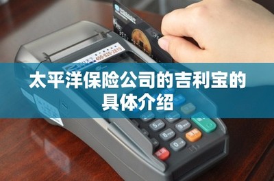 太平洋保險“吉利寶”電子支付系統(tǒng) 一站式保險服務(wù)與便捷支付的融合創(chuàng)新