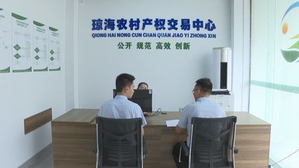 瓊海市農(nóng)村產(chǎn)權(quán)交易服務中心揭牌成立，控股公司助力鄉(xiāng)村振興